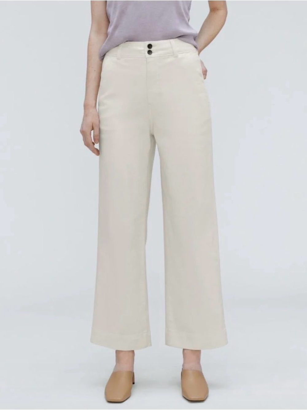 Everlane the Organic Wide Leg Pant in "Bone" color Size 4